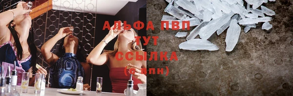сатива Вязьма