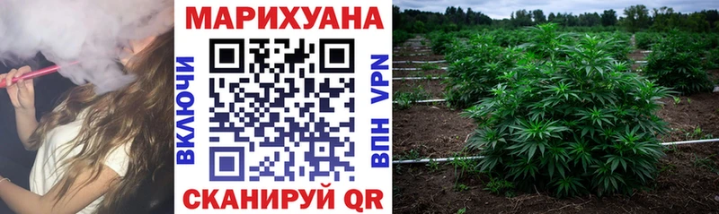 Конопля Amnesia Ирбит